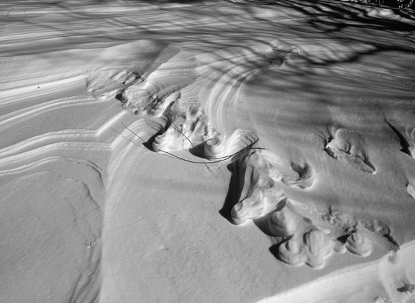 Фотовиставка Лідії Кожевнікової 